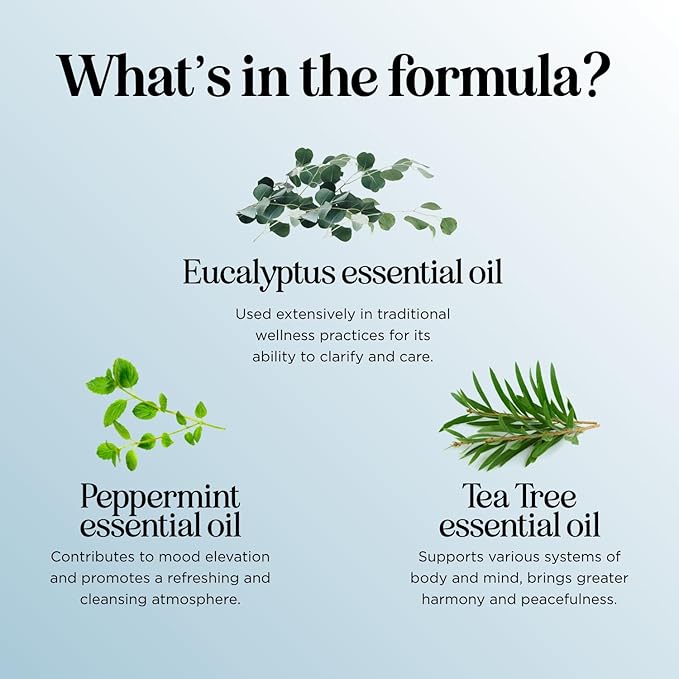 Breathe Essential Oil Roll On - Aromatherapy Essential Oil Roller with Invigorating Essential Oils - Refreshing Essential Oil Blend with Eucalyptus Peppermint Spearmint & Tea Tree Oils (3 Pack)