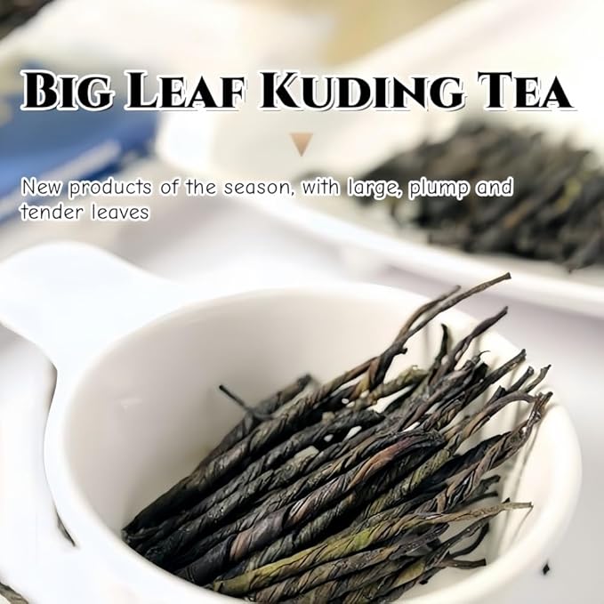 JINQI 2bottles Bitter Tea Kuding- 苦丁茶 大叶苦丁茶4.93oz/140g(2.46oz/70g*2), Chinese Herbal Green Tea, Clearing Heat, Holiday Gifts, Tea Gifts