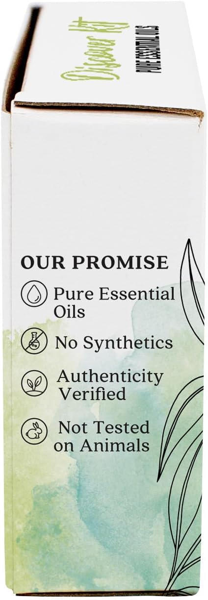 Aura Cacia Discover Essential Oils Kit, 4-Pack, Lavender, Eucalyptus, Peppermint & Tea Tree Oils, Excellent Starter Set