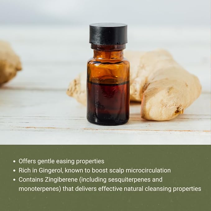 Ginger Essential Oil - Direct from Bio-Young Aromas - Pure Ginger Oil for Skin - Aceite de Jengibre - Aromatherapy 100% Therapeutic Premium Grade (8oz)