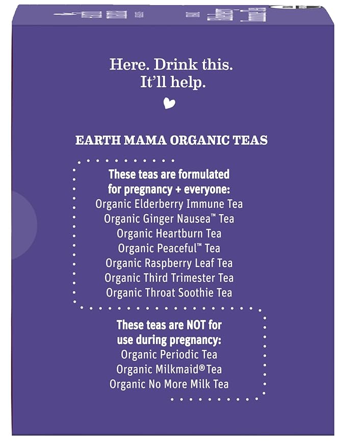 Earth Mama Organic Elderberry Immune Support Tea with Echinacea | Safe for Pregnancy, Breastfeeding, Postpartum, Kids and Family Essentials, Decaf Tea with Ginger & Rooibos (16-Count, 3-PK)