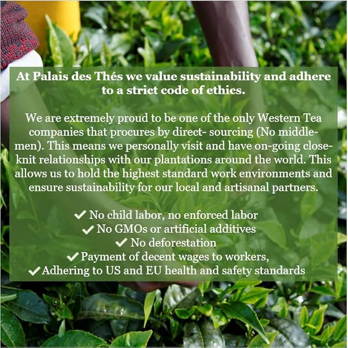 Palais des Thés - Organic L'Herboriste N°108 - Herbal Tea with Lemon Verbena, Orange & Mint - Premium Tea Bags, Serves 20 Cups