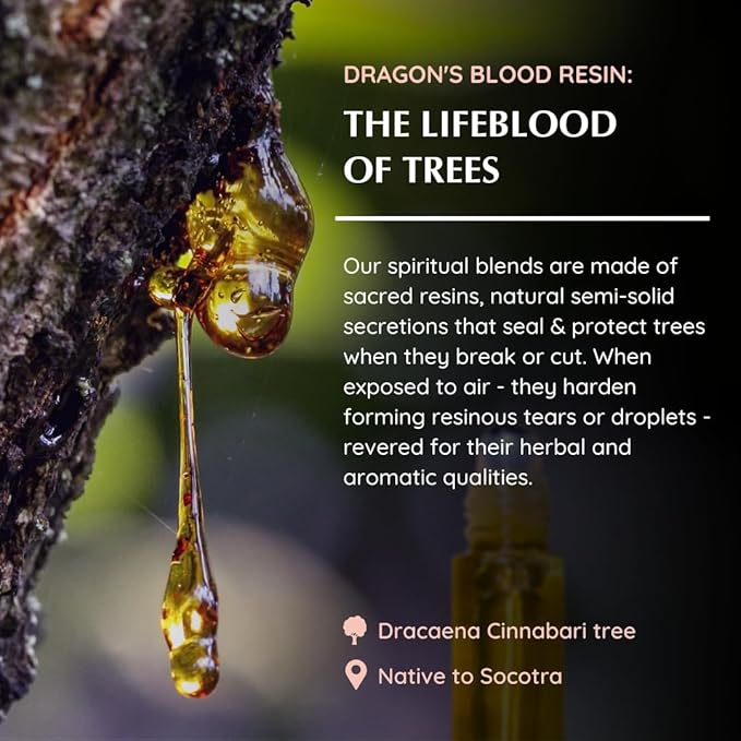 Dragon’s Blood Resin Essential Oil Roll-On by Aromafume | 1 x 10ml / 0.33 fl oz by Aromafume| Ideal for Spirituality & Rituals | Made with Pure Resin from Socotra | Non-Alcoholic, Non-Toxic & Vegan