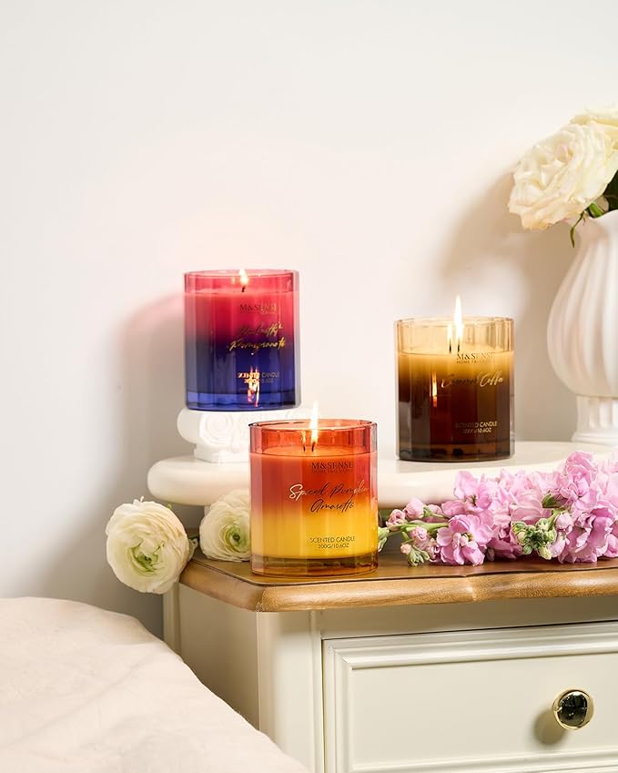 M&SENSE Midnight Pomegranate Scented Candles, 10.6oz 60 Hours Natural Soy Wax Long Burning Aromatherapy Candle for Meditation Relaxing Home Decor for Women Men