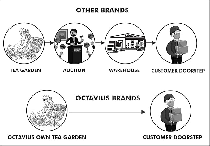 Octavius Green Tea Variety Pack | 3 Assorted Green Teas – Lemon Honey, Cinnamon Anise & Pure Green | 25 Tea Bags Each | Detox & Antioxidant-Rich | Tea Sampler Pack | Pack of 4