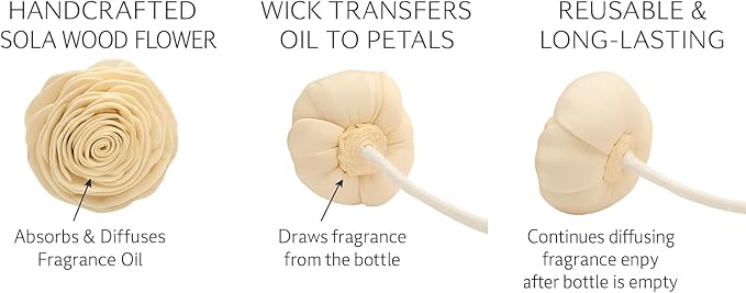 Aronica Mini Diffuser 40 ml – Botanical/Pomegranate (Desk/Office Decorative Diffuser) • Natural Oils & Sola Flower Design • Home Fragrance Gift for Small Rooms