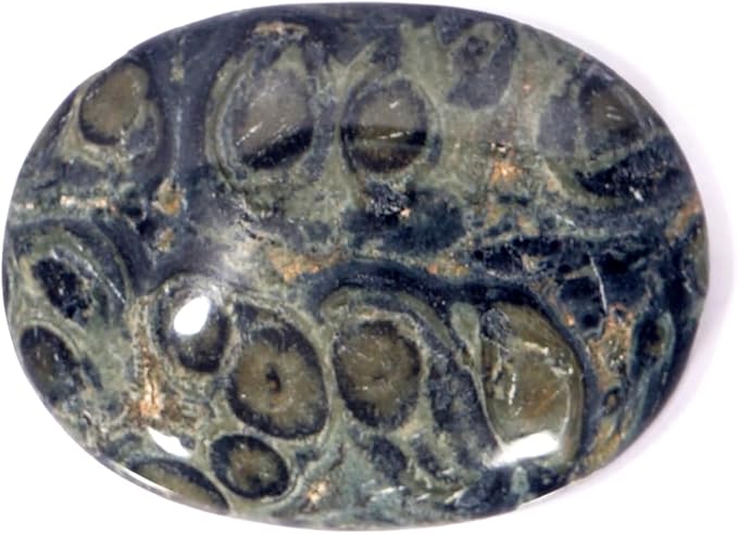 L PEDRA & CRYSTAL Worry Stone A Handheld Comfort to Ease Stress, Enhance Focus, and Promote Inner Peace (Kambaba Jasper Worry Stone)