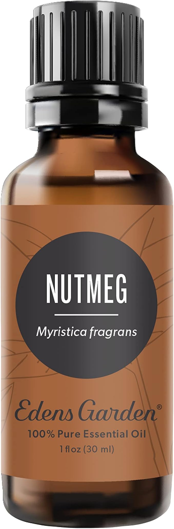 Edens Garden Nutmeg Essential Oil- 100% Pure Premium Grade, Undiluted, Natural, Therapeutic, Aromatherapy, The Best for Diffuser, Candle, Laundry, Humidifiers 30 ml (1 fl oz)