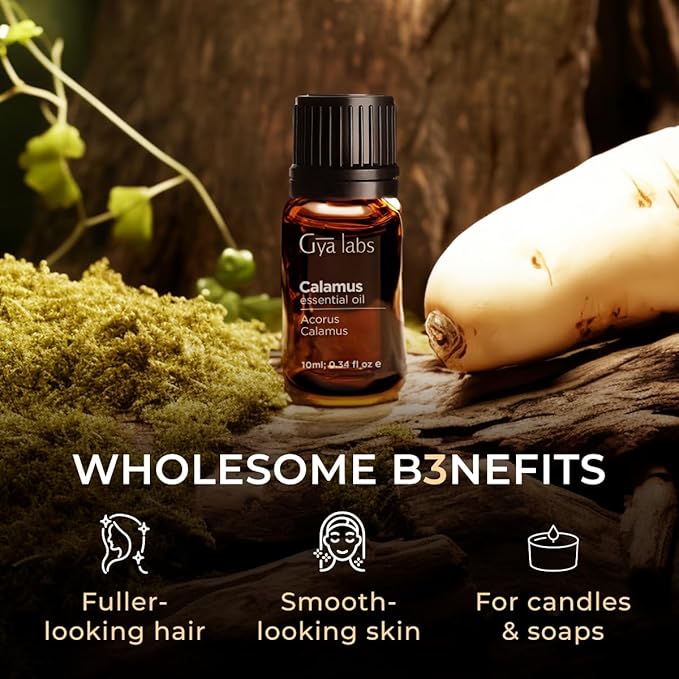 Gya Labs Calamus Essential Oil - 0.34 Fl Oz - for Hair, Skin, Diffuser, Aromatherapy & DIY Candle Making Scent