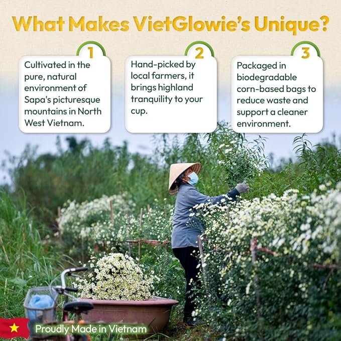 VietGlowie 30 Chamomile Pyramid Tea Bags, 3g/Bag to 33oz, Chamomile Herbal Tea, Bedtime & Sleep Support, Caffeine-Free, 100% Natural, Corn-Based Tea Bags