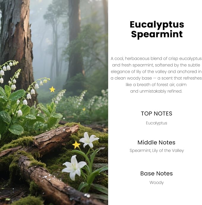 Car Air Freshener Hanging Diffuser – Long-Lasting Essential Oil Scent (Up to 60 Days) – Non-Toxic & Eco-Friendly – 2-Pack Auto Fresheners Made in USA