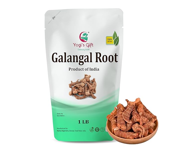 Dried Galangal root 1LB | Whole root (not slices) | Alpinia Galangal | Ads Wonderful Flavour and Aroma to Soups | by Yogi’s Gift®