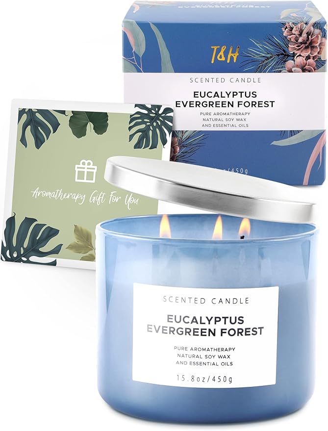Eucalyptus Evergreen Forest 3-Wick Soy Candle, 15.8 oz | Winter Pine, Balsam Fir & Evergreen Scented Candle | Woodsy Aromatherapy Candle for Home | Clean Burn, Long-Lasting