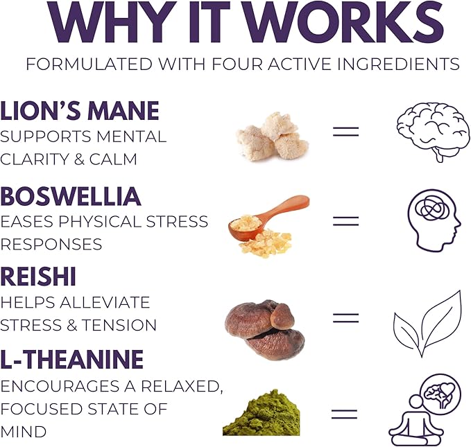 Chill Pill - Lion’s Mane, Reishi, L-Theanine & Boswellia Extract Blend - Mushrooms Supplement for Relax, Recover & Recharge - 120 Vegan Capsules