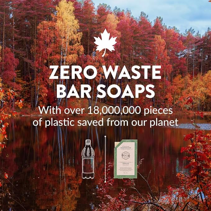 Crate 61 Organics, Handmade in Canada, Plant Based Cold Process Natural Bar Soap, With Premium Essential Oils, Pack of 6 (Dry Skin)