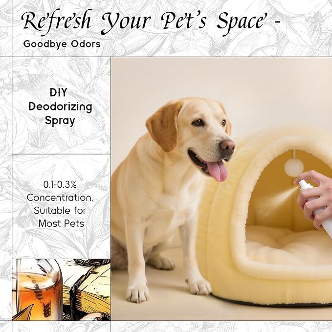 HIQILI Wild Bluebell Diffuser Oil for Scent Diffusers, Inspired by Jo M.lone's, Work & Relax, Ideal for Office, Bathroom, Travel - 0.34 Fl Oz