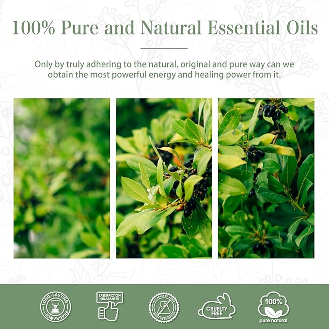 Camphor Essential Oil, 1.01Fl.Oz (30ML) PHATOIL Pure Essential Oil Singles for Aromatherapy Diffusers, Humidifiers, Great for DIY Candle and Soap Making, Gift for Friend