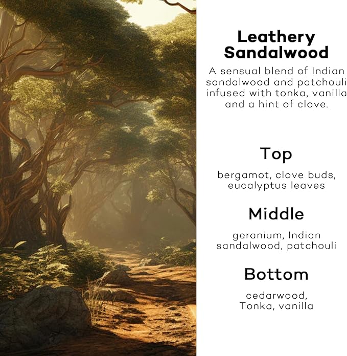 Car Air Freshener Hanging,Cute Air Diffuser for Car, Long Lasting Car Air Fresheners, Car Fresheners for Women, Made in USA Leathery Sandalwood (2 Pack)