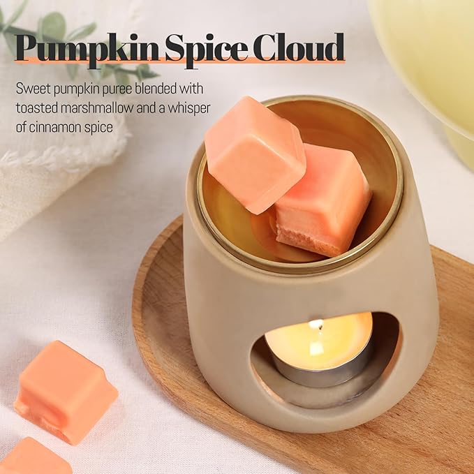 DEVI Assorted Scented Wax Melts with Dried Flowers(4 Pack), Natural Soy Wax Cubes Strong Scent - Plant-Based Scented Melts for Warmer, Pumpkin Spice, Citrus & Tonka, Peppermint & Sage, Honeysuckle