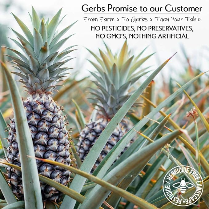 Gerbs Lightly Sweetened Dried Pineapple Cubes 4 lbs. | Unsulfured, No Additives, Resealable Bag | Naturally Sweet & Chewy | Top 14 Allergen-Free