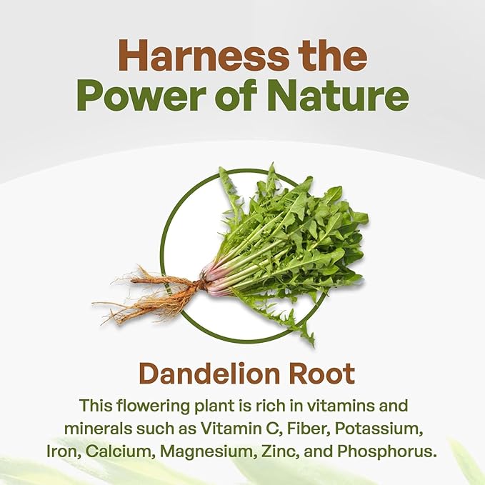 Go Nutra Dandelion Root Powder for Tea, Coffee & Beverages | Concentrated 10:1 Dandelion Root Extract Powder, Caffeine Free | Antioxidants, Digestion & Immune System | Non-GMO, Vegan | 8 oz