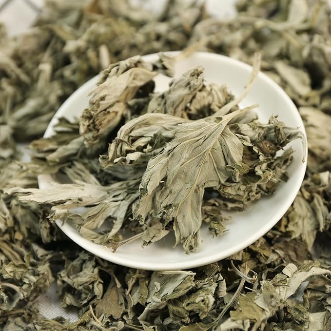 Jarteela - Premium Dried Mugwort Herbs - 4oz/114g - Natural Herbs Loose Leaf For Mugwort Tea - Non-GMO - Caffeine-free