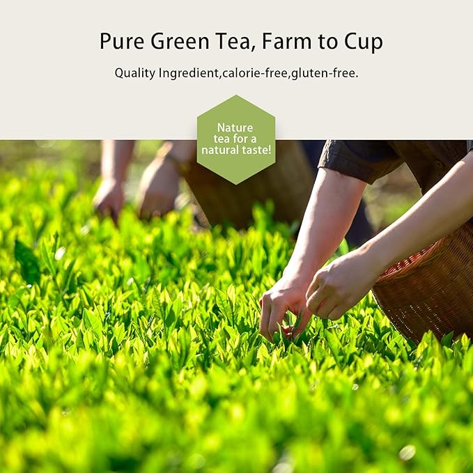 GTGLOTRA Full-Leaf Green Tea, 72 Pyramid TeaBags(12 Pack), Easy Brew, 100% Natural, Pure Leaf Biodegradable Tea, Caffeine Alternative to Coffee, Whole Leaf Tea Sampler, Family Size, Gifts, Office Reception&Daily Consumption