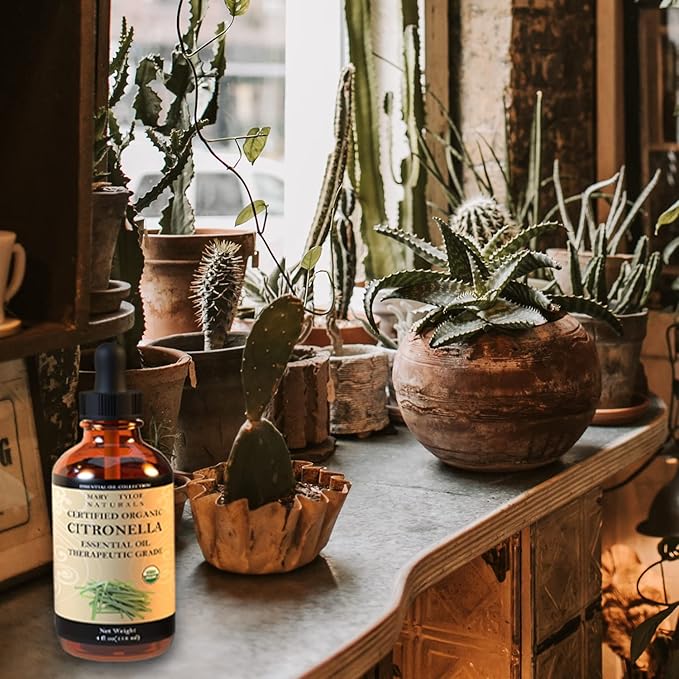 Citronella Essential Oil (4 oz) 100% Pure and Natural, Therapeutic Grade Perfect for Aromatherapy, Diffuser, DIY and More by Mary Tylor Naturals