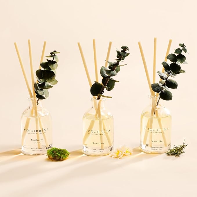 COCORRÍNA Eucalyptus Reed Diffuser Set of 3 - Eucalyptus & Moss, Clean Linen, Ocean Mist Scents, 1.7 fl oz Each, Total 5.1 oz, Scented Oil Diffusers for Home & Office