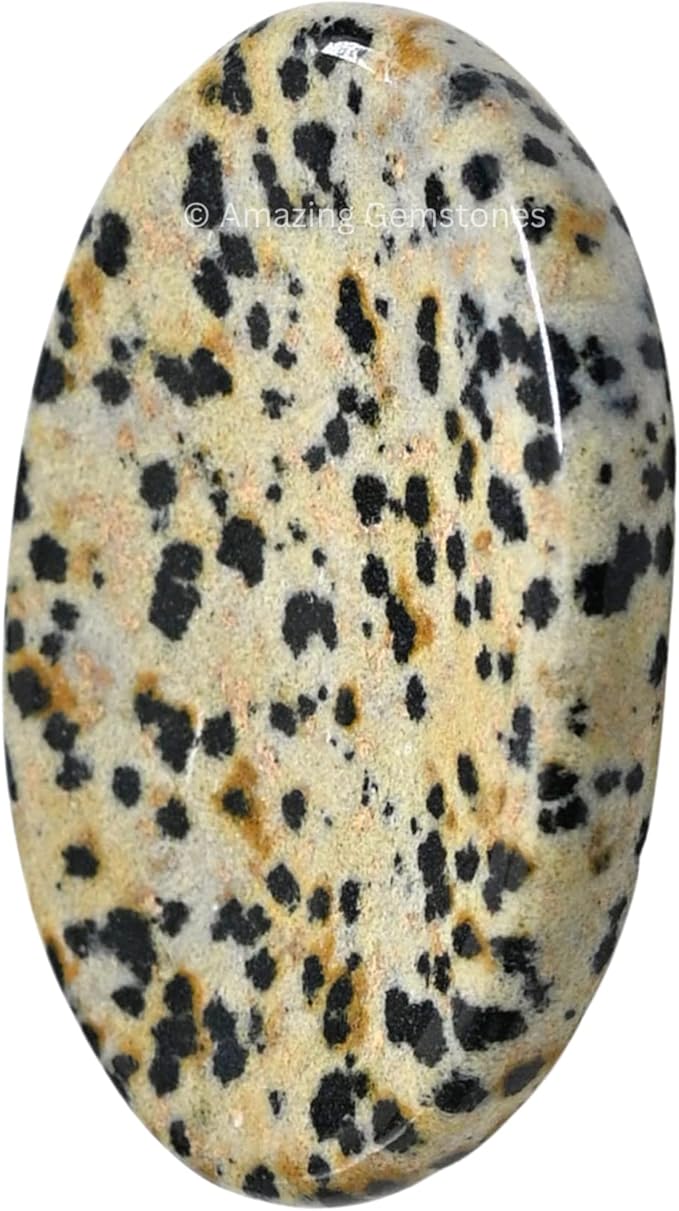 Amazing Gemstone Dalmatian Jasper Worry Stone, Healing Crystals - Piedra Crystal Fidget for Gift, Meditation, Calming, Relaxation, Stress Relief