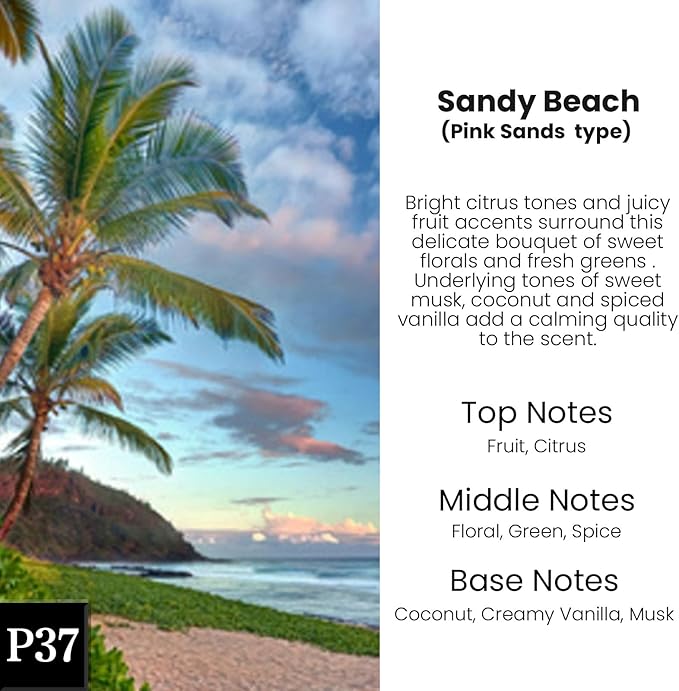 Car Air Freshener Hanging,Cute Air Diffuser for Car, Long Lasting Car Air Fresheners, Car Fresheners for Women, Made in USA (2 Pack)