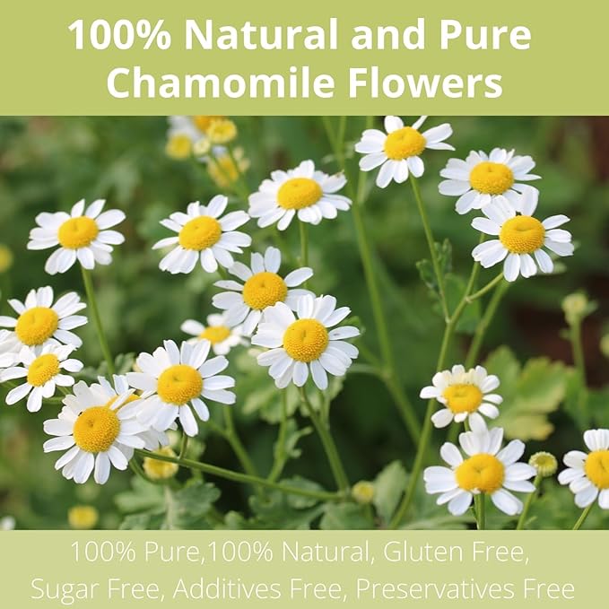 60 Chamomile Tea Bags, VitalForest Chamomile Flowers Tea, Natural Pure Camomile Tea, Caffeine Free Camomille Herbal, Help Reduce Stress And Sleep Better, Non-GMO