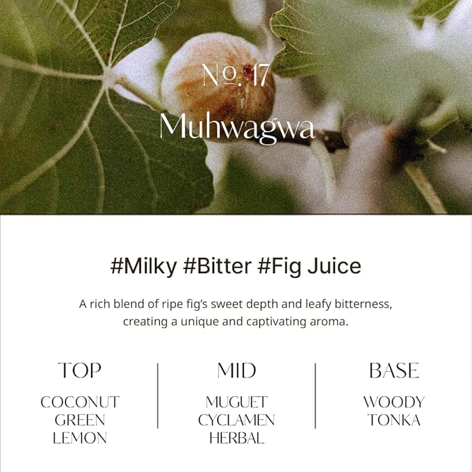 hetras Objet Diffuser Gift Set 6.7 fl.oz. 2 Pack | Muhwagwa- Sweet and Rich Fig Scent | Long-Lasting Scented Room Fresheners with 8 Reed Sticks for Home Fragrance Bedroom Bathroom Shelf Décor