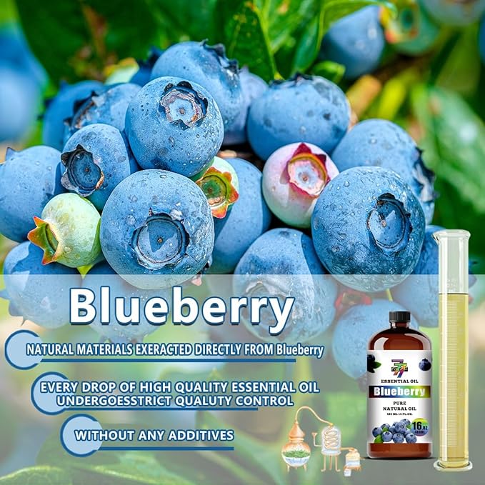 Blueberry Essential Oil (16 oz / 480 ml) – Blueberry Oils for diffusers, humidifiers, Home Baths, Cleaning Products, Yoga, DIY Soaps and DIY Scented Candles