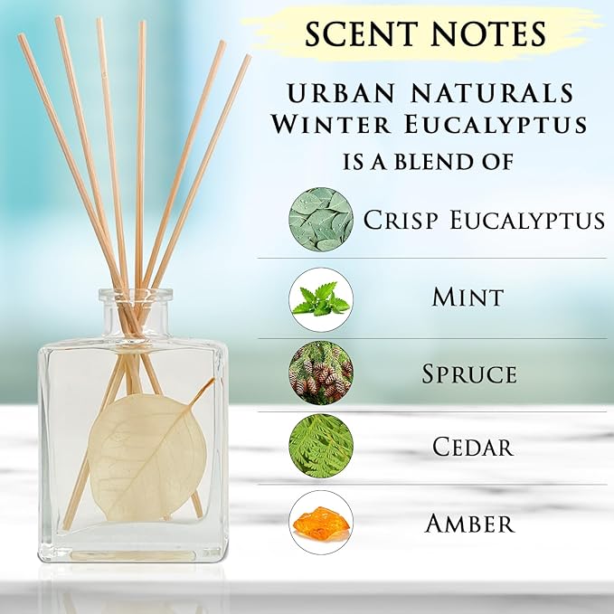 Urban Naturals Winter Eucalyptus Reed Diffuser Gift Set – Crisp Eucalyptus, Mint, Spruce, Cedar, Amber, Virginian Cedarwood – Sleek Rectangular Refillable Glass Bottle – Made in The USA