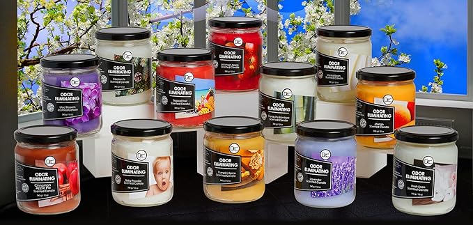 Cranberry Punch Odor Eliminating Highly Fragranced Candle - Eliminates 95% of Pet, Smoke, Food, and Other Smells Quickly - Up to 80 Hour Burn time - 12 Ounce Premium Soy Blend