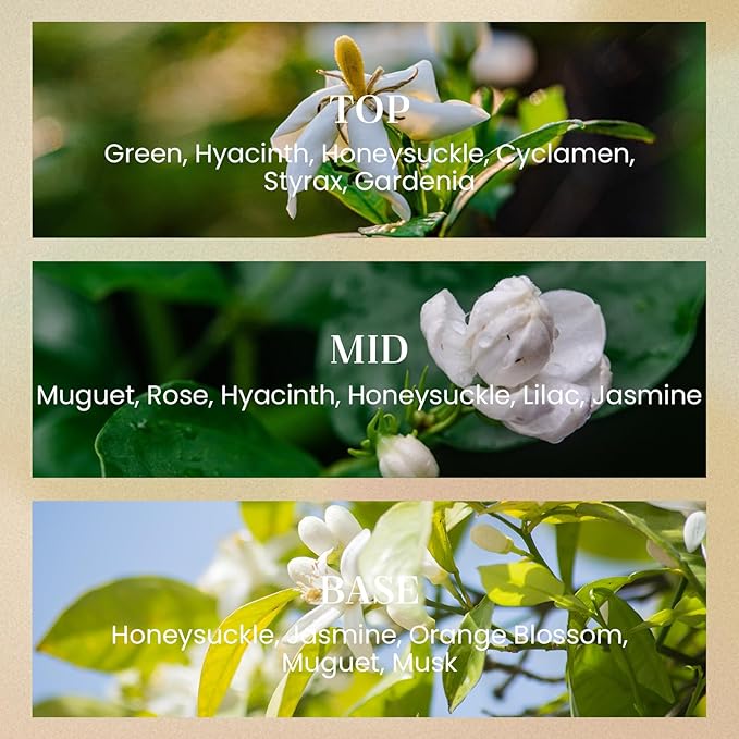 M&SENSE White Gardenia Candles for Home Scented, 2 Wick 12.7oz Soy Wax Candles Non Toxic,70 Hours Long Burning,Luxury Candles Gift for Stress Relief, Meditation, Yoga