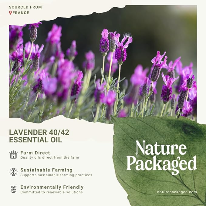 Lavender 40/42 Essential Oil Direct from France - Essential Oil for Candle Making and Soaps - Pure Lavender 40/42 Oil for Aromatherapy, Skincare, Haircare, Perfumes (8oz)
