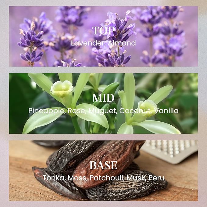 M&SENSE Lavender Vanilla Candles for Home Scented, 2 Wick 12.7oz Soy Wax Candles Non Toxic,70 Hours Long Burning,Luxury Candles Gift for Stress Relief, Meditation, Yoga