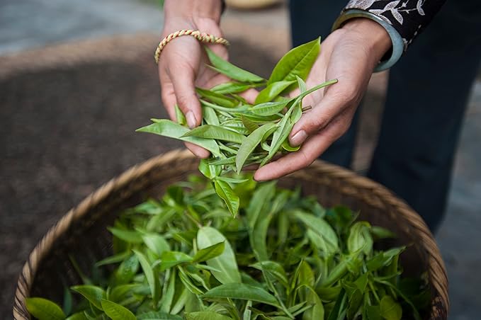 Palais des Thés - Alizes Winds Green Tea - Peach & Orange Blossom - Premium Tea Bags, Serves 20 Cups