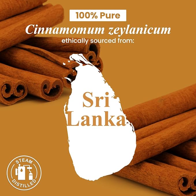 Handcraft Blends Cinnamon Essential Oil – Huge 4 Fl Oz – 100% Pure and Natural – Premium Grade Essential Oil for Diffuser and Aromatherapy, Skin, Massage, Candle and Soap Making Fragrance