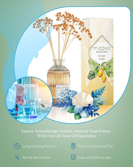 MIZZEO Reed Diffuser Set, Warm Cinnamon 6.76 fl oz Highly Scented Room Diffuser Home Fragrance Essential Oil Reed Flower Diffuser, House Bedroom Office Decor & Gifts