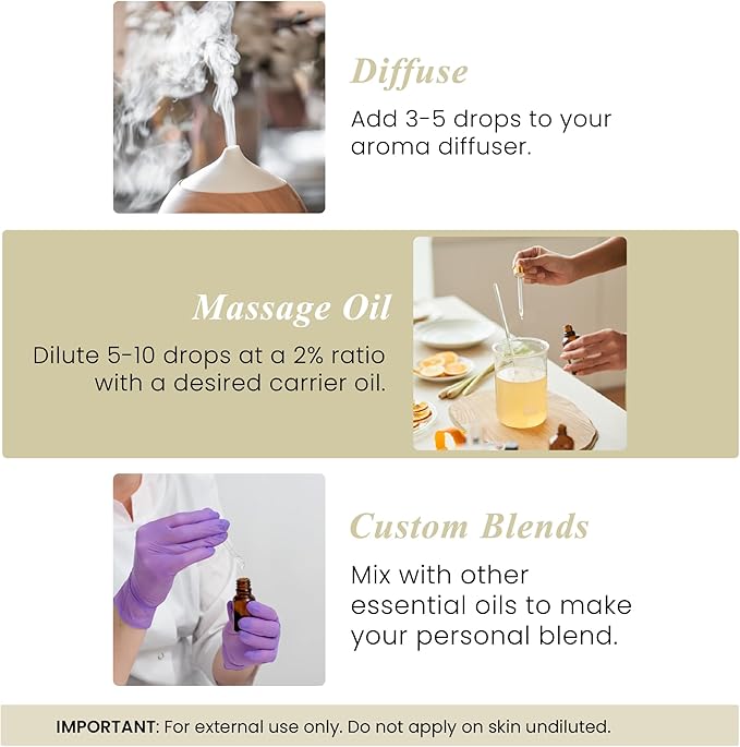 Handcraft Blends Vanilla Essential Oil – 1 Fl Oz – Pure and Natural Mix – Premium Grade Essential Oil for Diffuser and Aromatherapy, Skin, Massage, Candle and Soap Making Fragrance