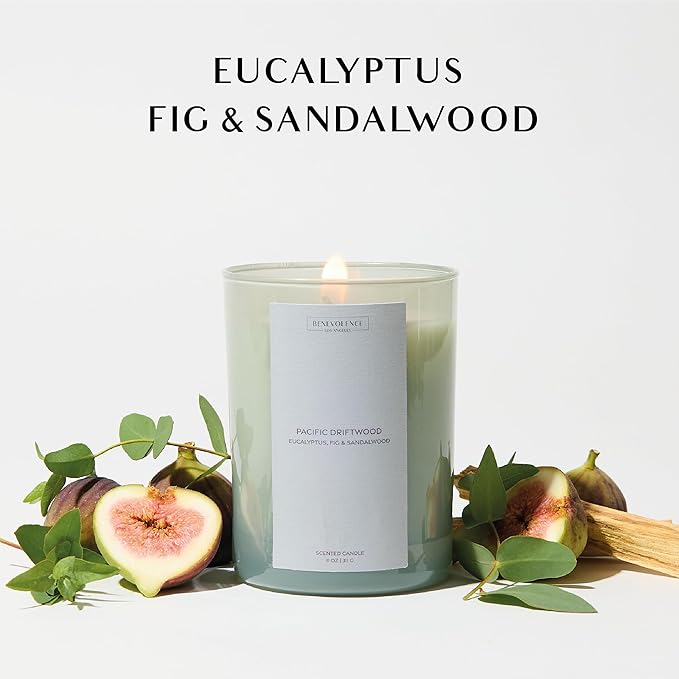 Eucalyptus Fig & Sandalwood Scented Candle | Benevolence LA Sun-Kissed Collection | 11oz, 60 Hour Burn | Natural Soy Wax, Cotton Wick | Fall Scented Candles for Home, Bedroom – Pacific Driftwood