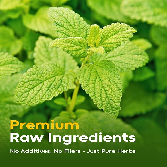 FullChea - Lemon Balm Tea Bags, 100 Count - Pure & Natural Dried Lemon Balm Leaves - Melissa Officinalis - Caffeine-free Herbal Tea for Relaxation - Non-GMO