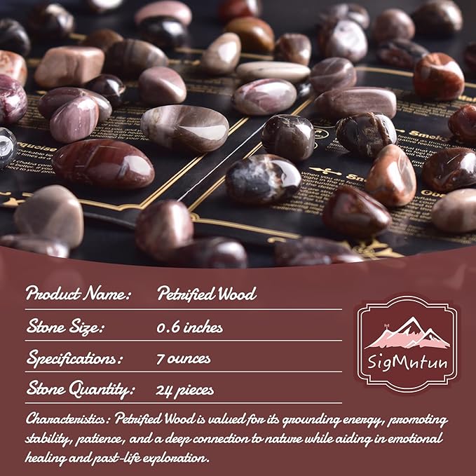 Petrified Wood Healing Crystal Stone Set - 24 Pieces, 0.6" Natural & Polished Stones for Healing, Meditation, Reiki, Chakra, Crafting & Decoration