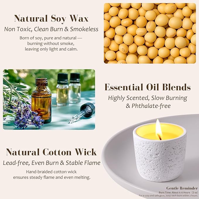 Viyffo Scented Candle Set of 6, Natural Soy Wax with Essential Oils, Long Lasting Aromatherapy Candles in Small Ceramic Jars, Perfect for Home, Relaxation, Meditation, Bath & Holiday Gifts