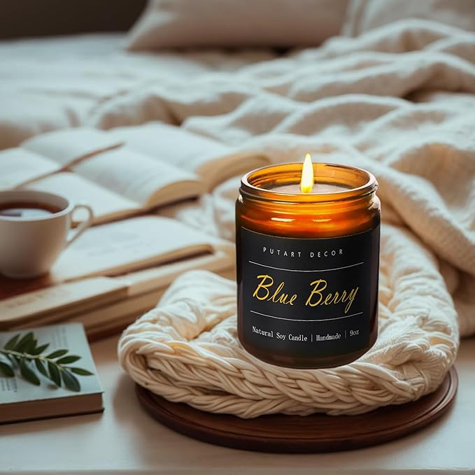 Blueberry Candles for Home Scented, Natural Soy Aromatherapy Non Toxic Candles with Long Lasting Fragrance & Clean Burn, Luxury Jar Candle Gift for Women, Men, Home Decoration 9oz