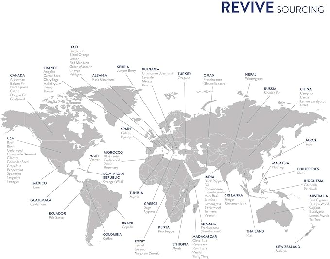 Cinnamon Essential Oil by Revive Essential Oils - 100% Pure Therapeutic Grade, for Diffuser, Humidifier, Massage, Aromatherapy, Skin & Hair Care