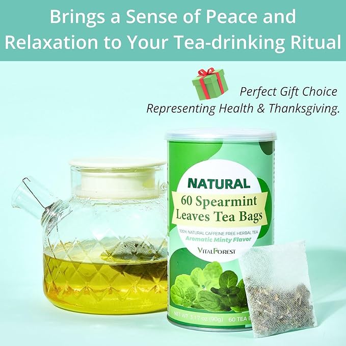 60 Spearmint Tea Bags - VitalForest Premium Dried Spearmint Leaves - Spear Mint Tea - Refreshing & Minty, Caffeine Free, Corn Fiber Tea Bags, Canister Pack for Freshness